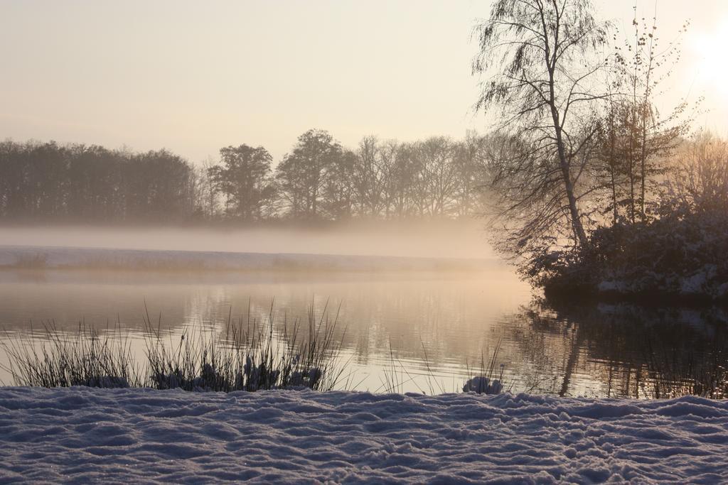 Domaine De La Guignardiere Viévy-le-Rayé Exteriér fotografie